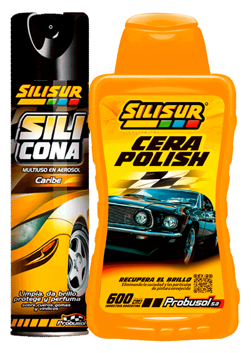 DUO Silicona Aerosol 260 + Cera Polish 600…. x 6 Unid.