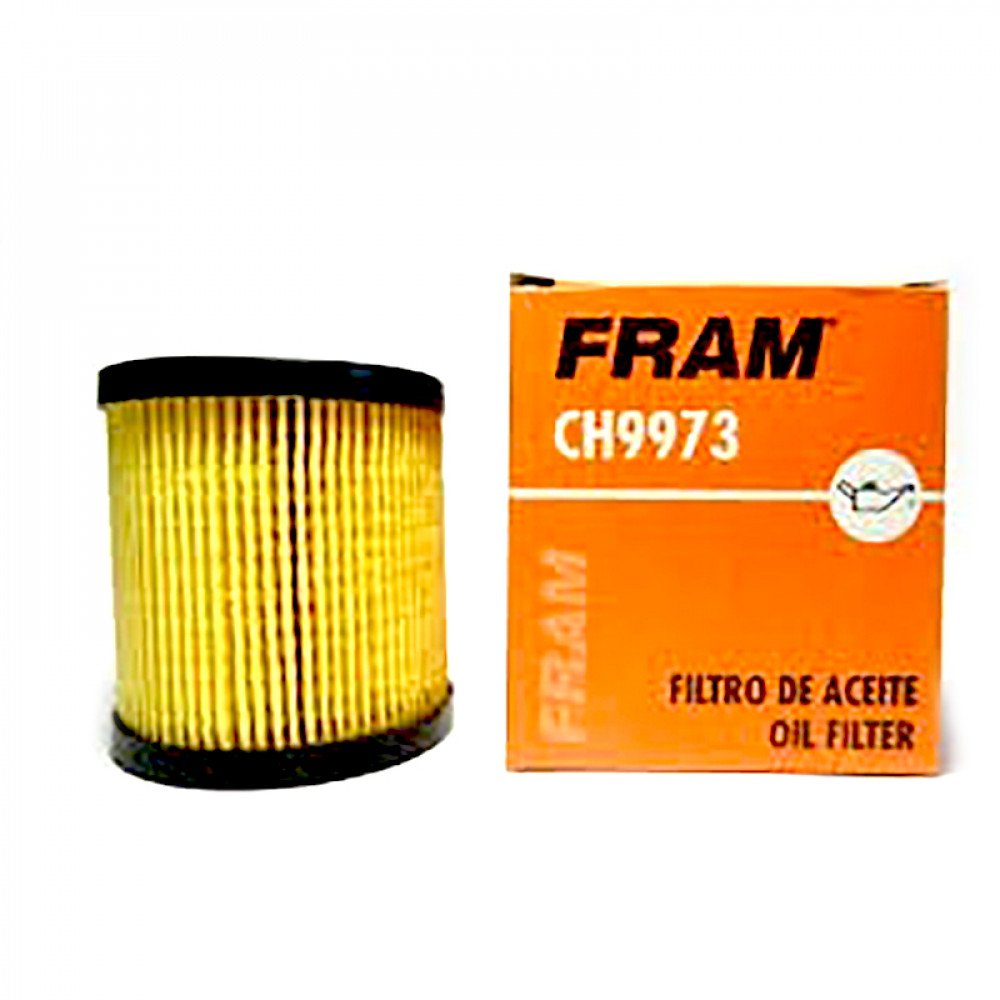 Citroen C 3, C 4, Peugeot 206, 307. Fram CH9973